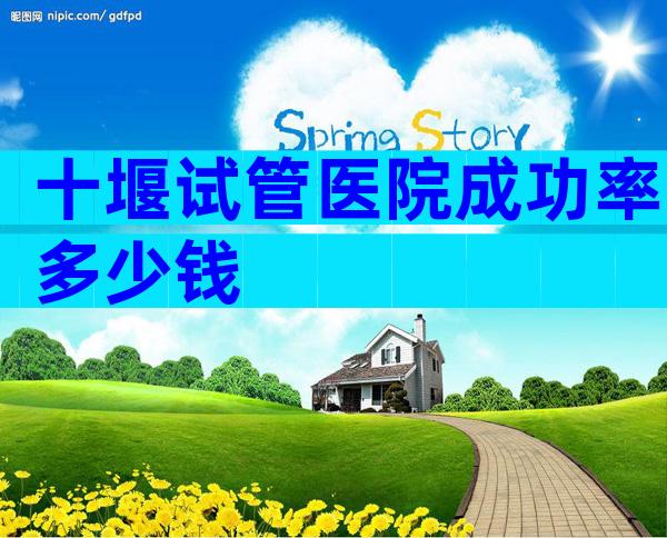 十堰试管医院成功率多少钱