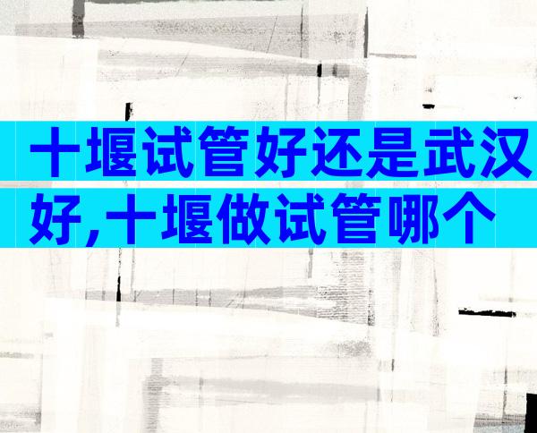 十堰试管好还是武汉好,十堰做试管哪个