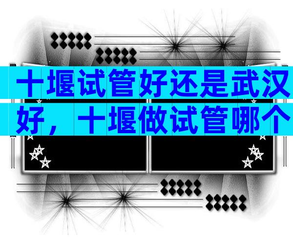 十堰试管好还是武汉好，十堰做试管哪个