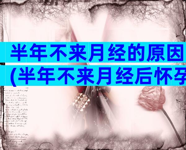 半年不来月经的原因(半年不来月经后怀孕了)