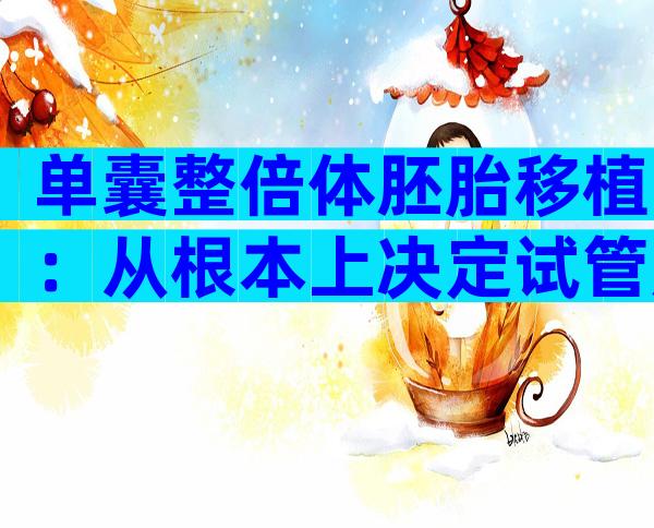 单囊整倍体胚胎移植：从根本上决定试管成功率