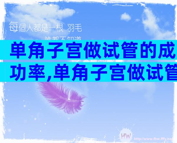 单角子宫做试管的成功率,单角子宫做试管的成功率大吗