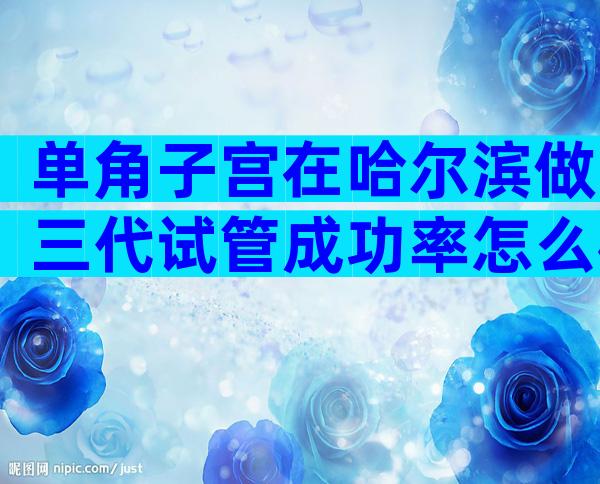 单角子宫在哈尔滨做三代试管成功率怎么样附优势及操作步骤