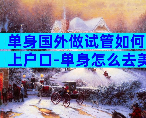 单身国外做试管如何上户口-单身怎么去美国做试管婴儿