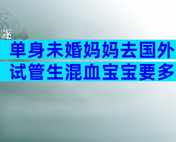 单身未婚妈妈去国外试管生混血宝宝要多少钱？