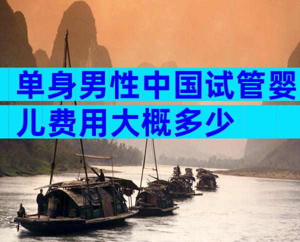 单身男性中国试管婴儿费用大概多少