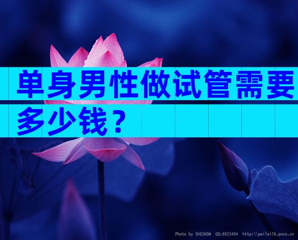 单身男性做试管需要多少钱？