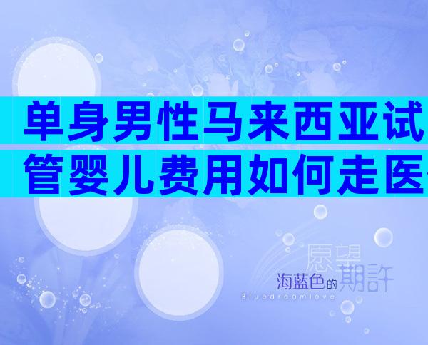 单身男性马来西亚试管婴儿费用如何走医保