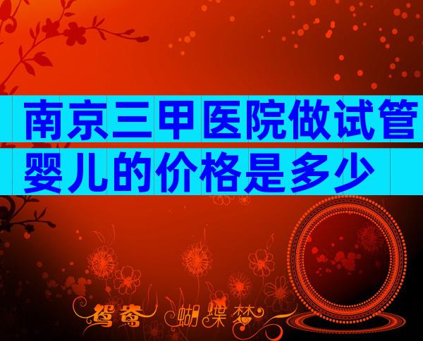 南京三甲医院做试管婴儿的价格是多少