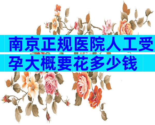 南京正规医院人工受孕大概要花多少钱