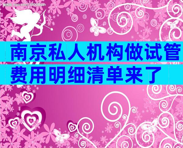 南京私人机构做试管费用明细清单来了