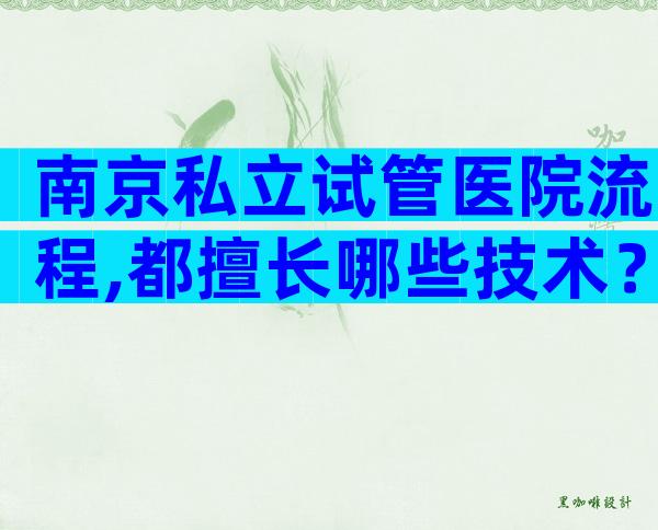南京私立试管医院流程,都擅长哪些技术？
