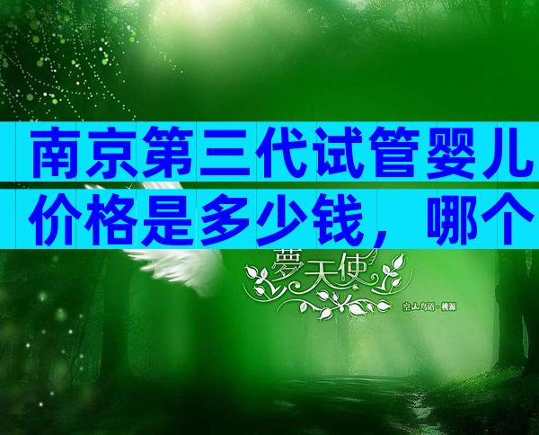 南京第三代试管婴儿价格是多少钱，哪个医院可以做？