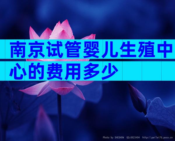 南京试管婴儿生殖中心的费用多少