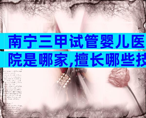 南宁三甲试管婴儿医院是哪家,擅长哪些技术