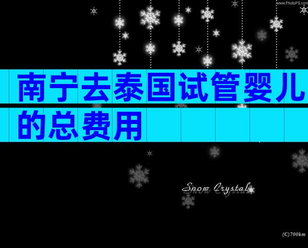 南宁去泰国试管婴儿的总费用