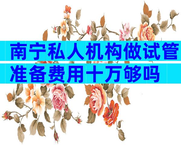 南宁私人机构做试管准备费用十万够吗