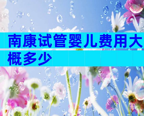 南康试管婴儿费用大概多少