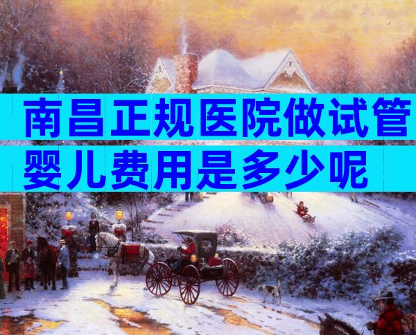 南昌正规医院做试管婴儿费用是多少呢