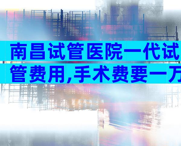 南昌试管医院一代试管费用,手术费要一万元？