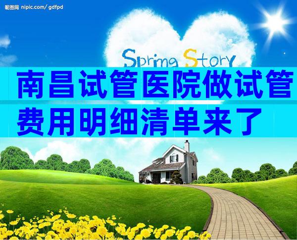 南昌试管医院做试管费用明细清单来了