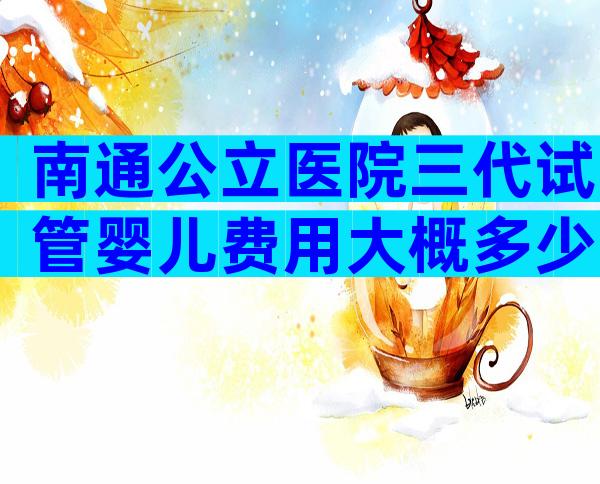 南通公立医院三代试管婴儿费用大概多少