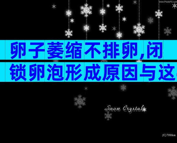 卵子萎缩不排卵,闭锁卵泡形成原因与这4点有关