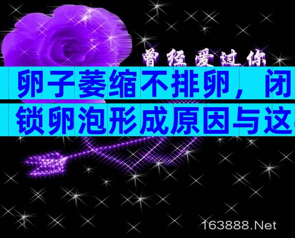 卵子萎缩不排卵，闭锁卵泡形成原因与这4点有关