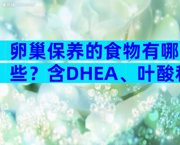 卵巢保养的食物有哪些？含DHEA、叶酸和铁的食物不可少