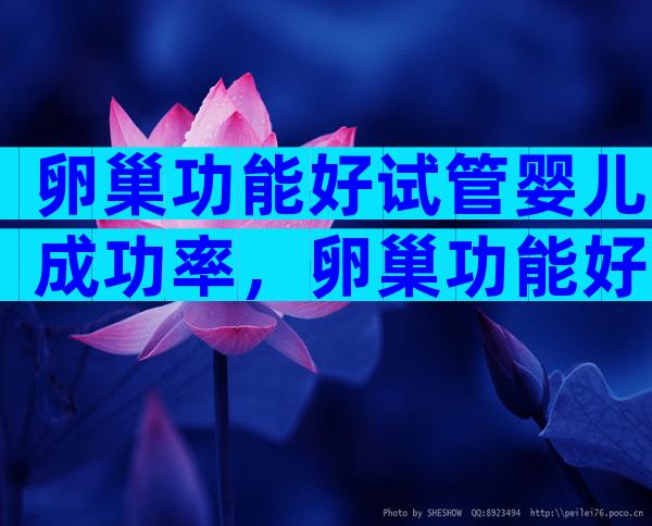 卵巢功能好试管婴儿成功率，卵巢功能好试管成功率高吗？