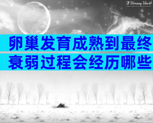 卵巢发育成熟到最终衰弱过程会经历哪些阶段