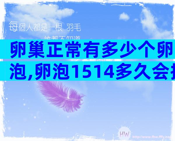 卵巢正常有多少个卵泡,卵泡1514多久会排卵