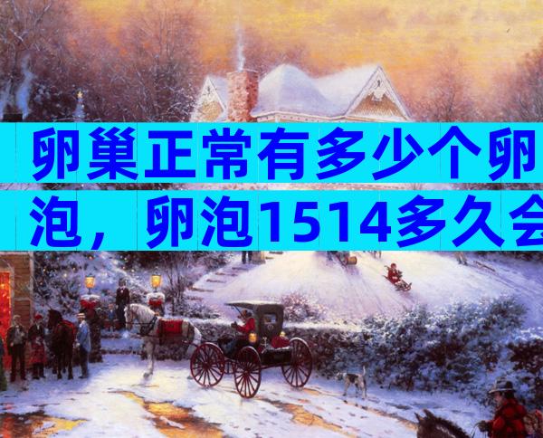 卵巢正常有多少个卵泡，卵泡1514多久会排卵