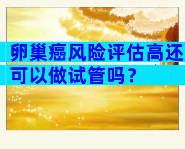 卵巢癌风险评估高还可以做试管吗？