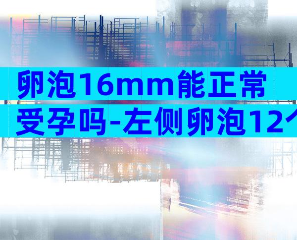 卵泡16mm能正常受孕吗-左侧卵泡12个什么意思