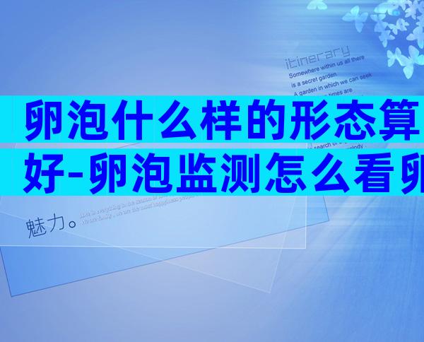 卵泡什么样的形态算好-卵泡监测怎么看卵泡质量
