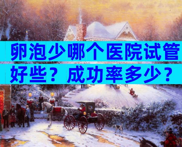 卵泡少哪个医院试管好些？成功率多少？