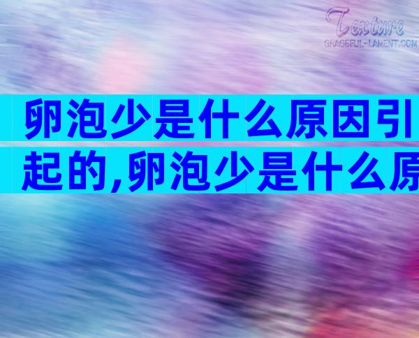 卵泡少是什么原因引起的,卵泡少是什么原因导致的
