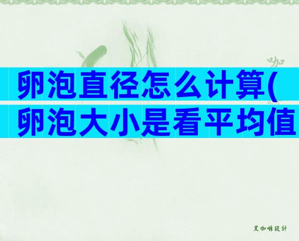 卵泡直径怎么计算(卵泡大小是看平均值吗？)