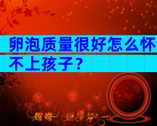 卵泡质量很好怎么怀不上孩子？