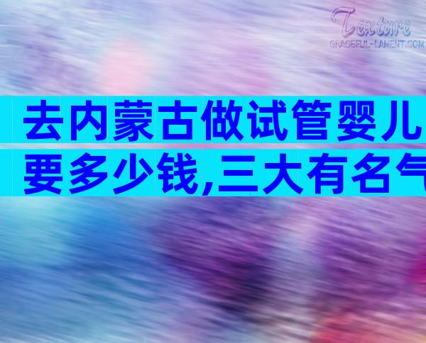 去内蒙古做试管婴儿要多少钱,三大有名气医院费用清单公布