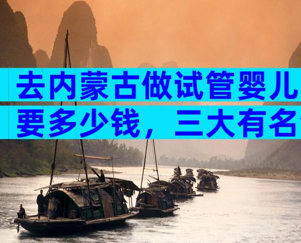 去内蒙古做试管婴儿要多少钱，三大有名气医院费用清单公布