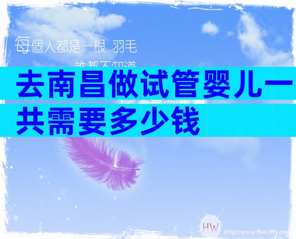 去南昌做试管婴儿一共需要多少钱