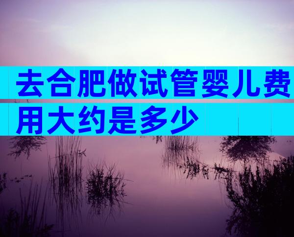 去合肥做试管婴儿费用大约是多少