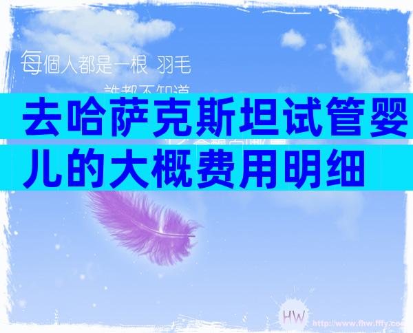 去哈萨克斯坦试管婴儿的大概费用明细