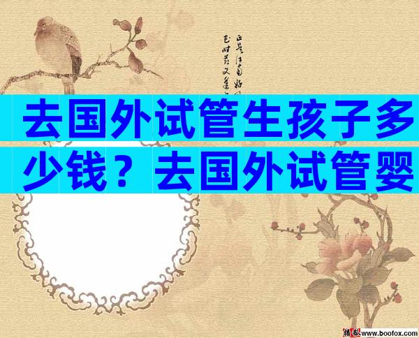 去国外试管生孩子多少钱？去国外试管婴儿多少钱？