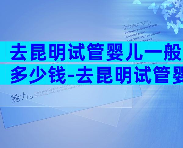 去昆明试管婴儿一般多少钱-去昆明试管婴儿一般多少钱一次