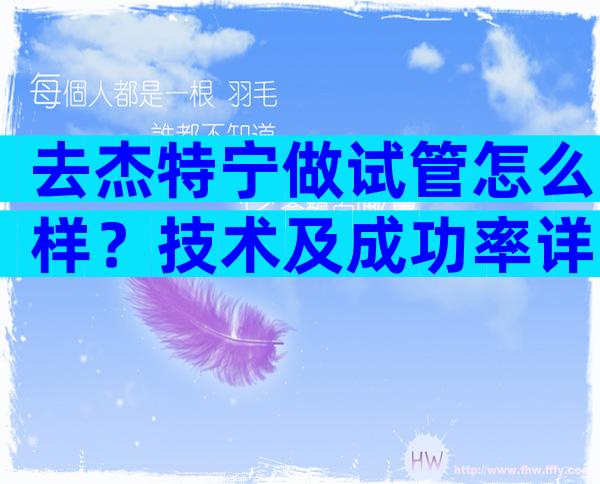 去杰特宁做试管怎么样？技术及成功率详细分析！