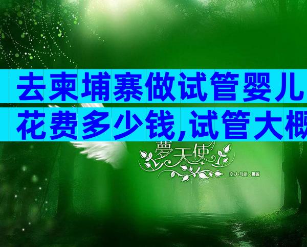 去柬埔寨做试管婴儿花费多少钱,试管大概需要多少钱
