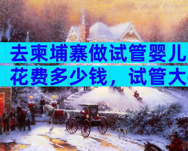 去柬埔寨做试管婴儿花费多少钱，试管大概需要多少钱